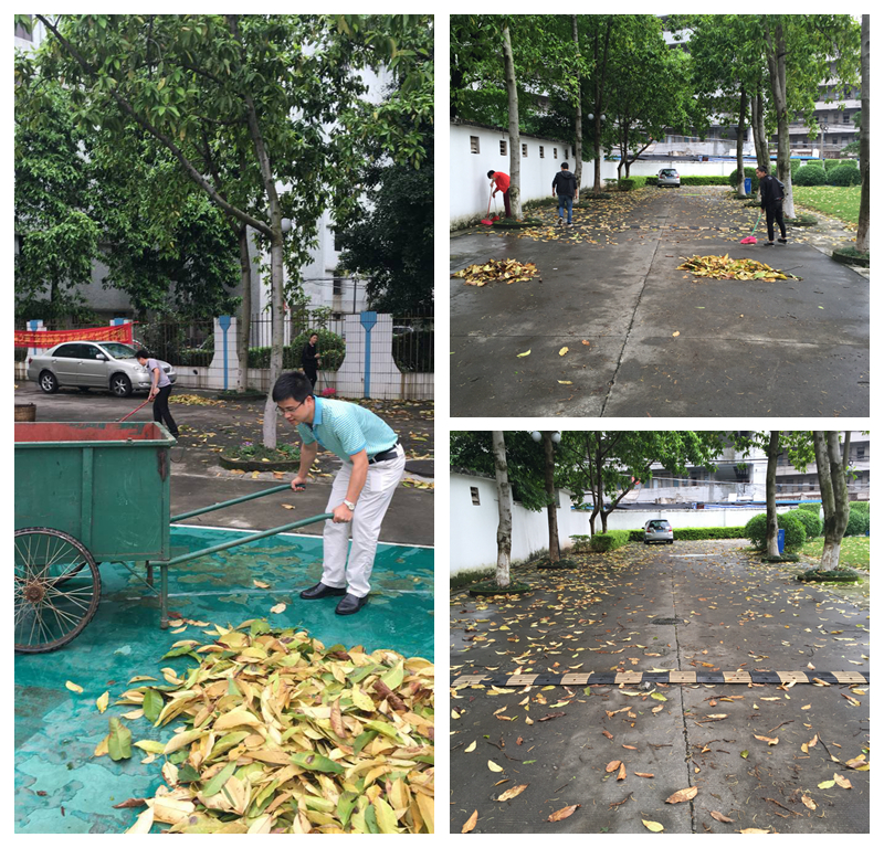 NeoImage_副本_副本