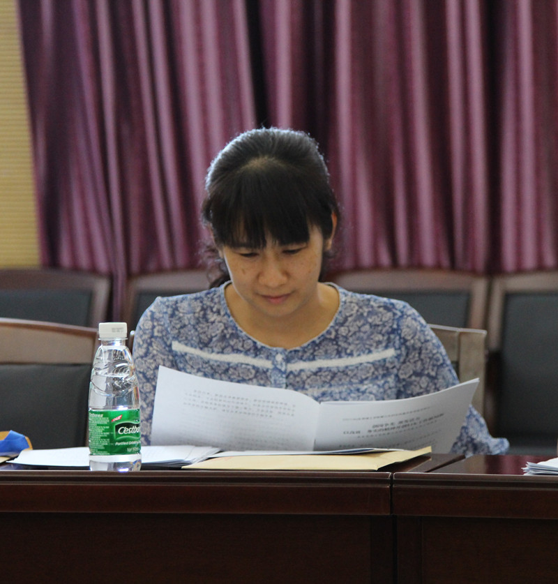 小组会议上,代表审议报告_副本