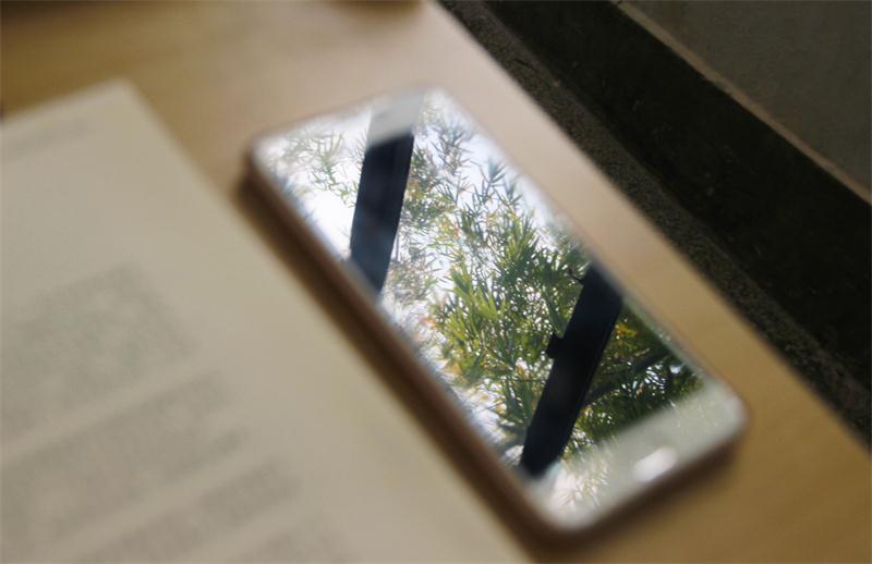 我手机里的春日