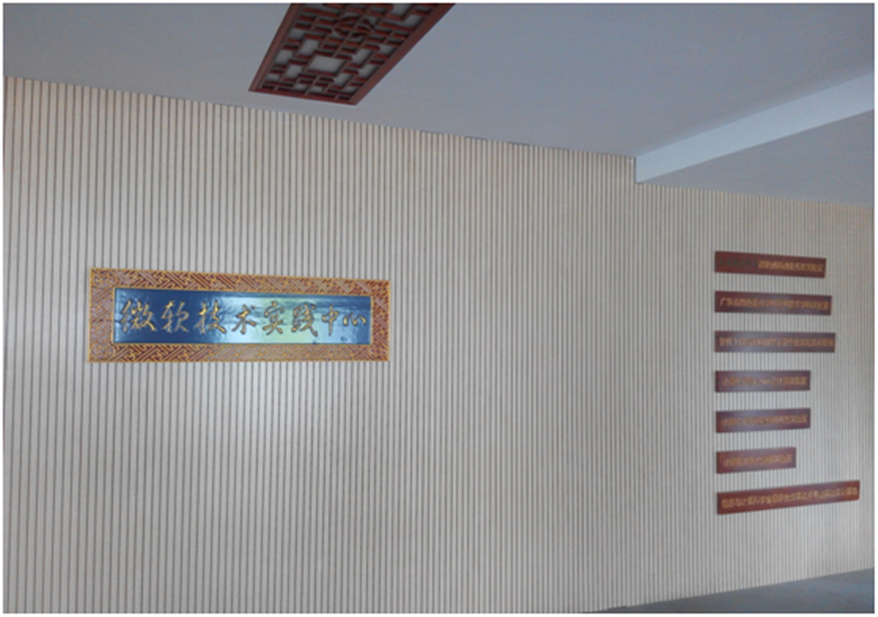 微软中心照片_副本